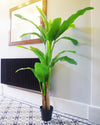 Artificial Banana Tree Tropical Plant - HUGE 6FT TREE Botanik