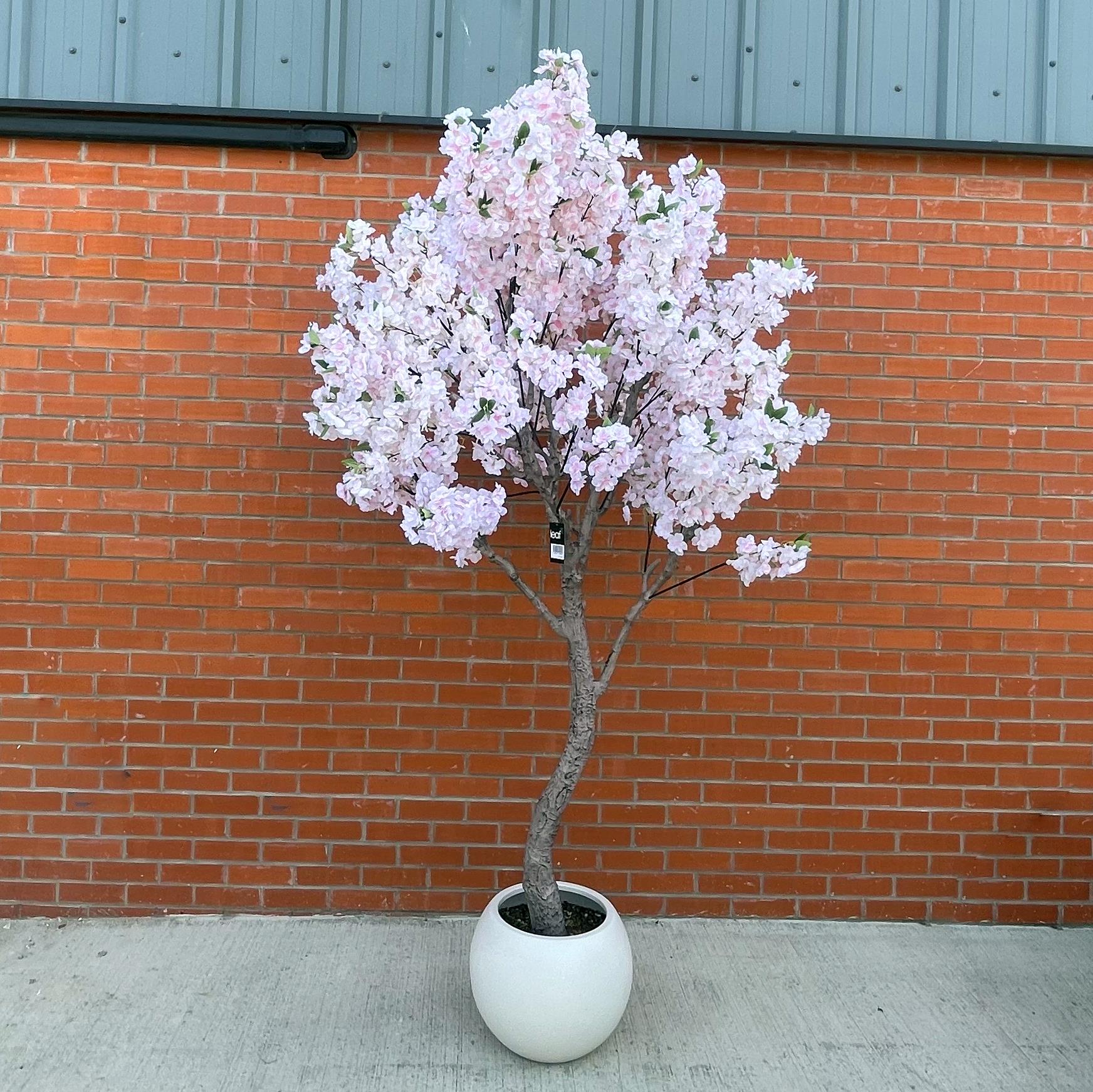 260cm XXL Cherry Tree