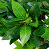 Pair Artificial Bay Topiary Trees Green 120cm Trunk