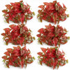 Pack of 6 x 30cm Artificial Trailing Red Caladium