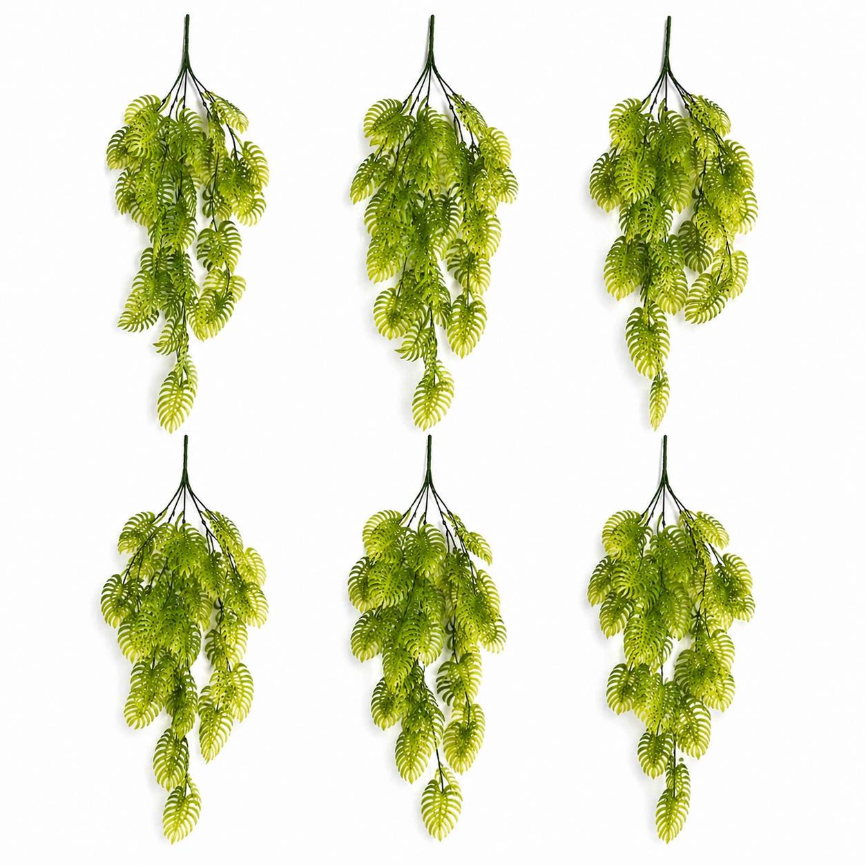 Pack of 6 x 80cm Trailing Tropical Monstera Plant - Light Green