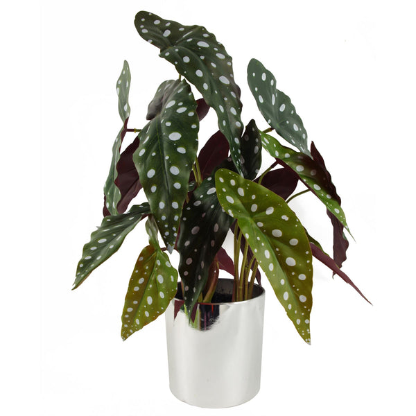 Large Artificial Foliage Plant Pot 40cm Artificial Begonia Maculata Plant Botanik