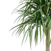 180cm Dracaena Realistic Artificial Tree - Premium Quality