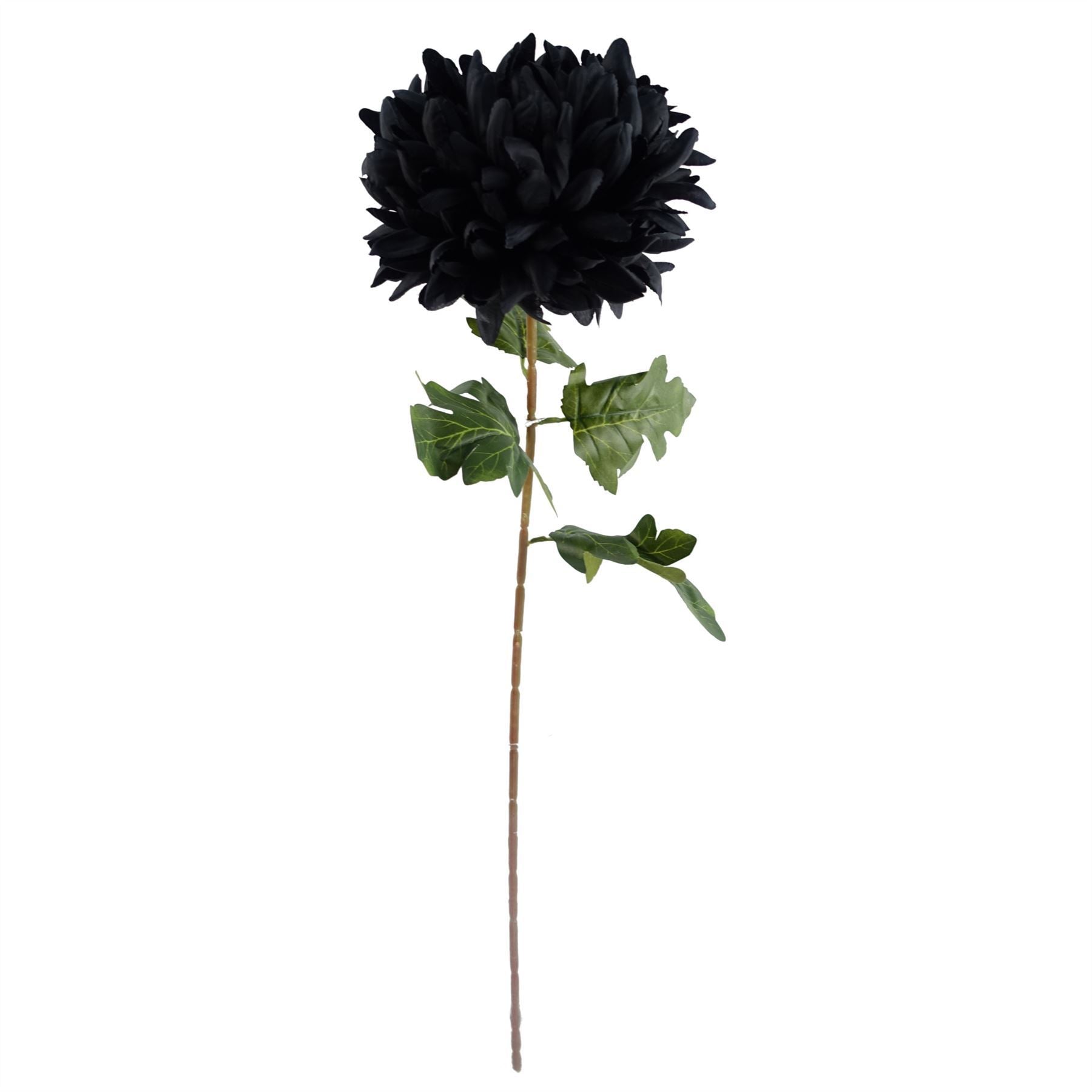 Pack of 6 x 75cm Extra Large Reflex Chrysanthemum - Black - Premium Quality