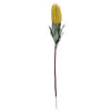 Pack of 6 x 75cm Banksia Menziesii Yellow Flower Stem Artificial - Premium Quality