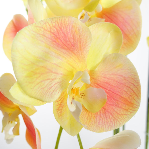 Large Yellow Peach Orchid Plant - Artifcial - 41 REAL TOUCH flowers