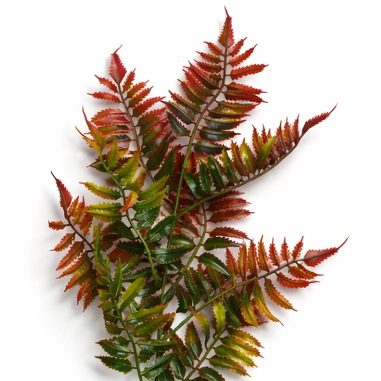 Pack of 6 x 50cm Artificial Fern Spray Stem - Autumn Orange