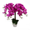 Artificial Deluxe Bush Orchid Pink 85cm Bush Orchid Lots of Flowers Botanik