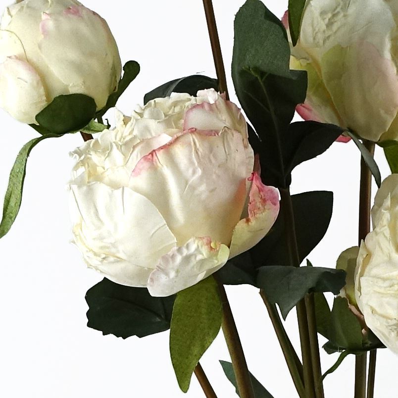 6 x 55cm Cream Peony Artificial Flower Stems - 24 flowers 18 buds - Premium Quality