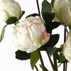 6 x 55cm Cream Peony Artificial Flower Stems - 24 flowers 18 buds - Premium Quality