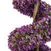 120cm Purple Large Botanik Spiral with Decorative Planter - Premium Quality