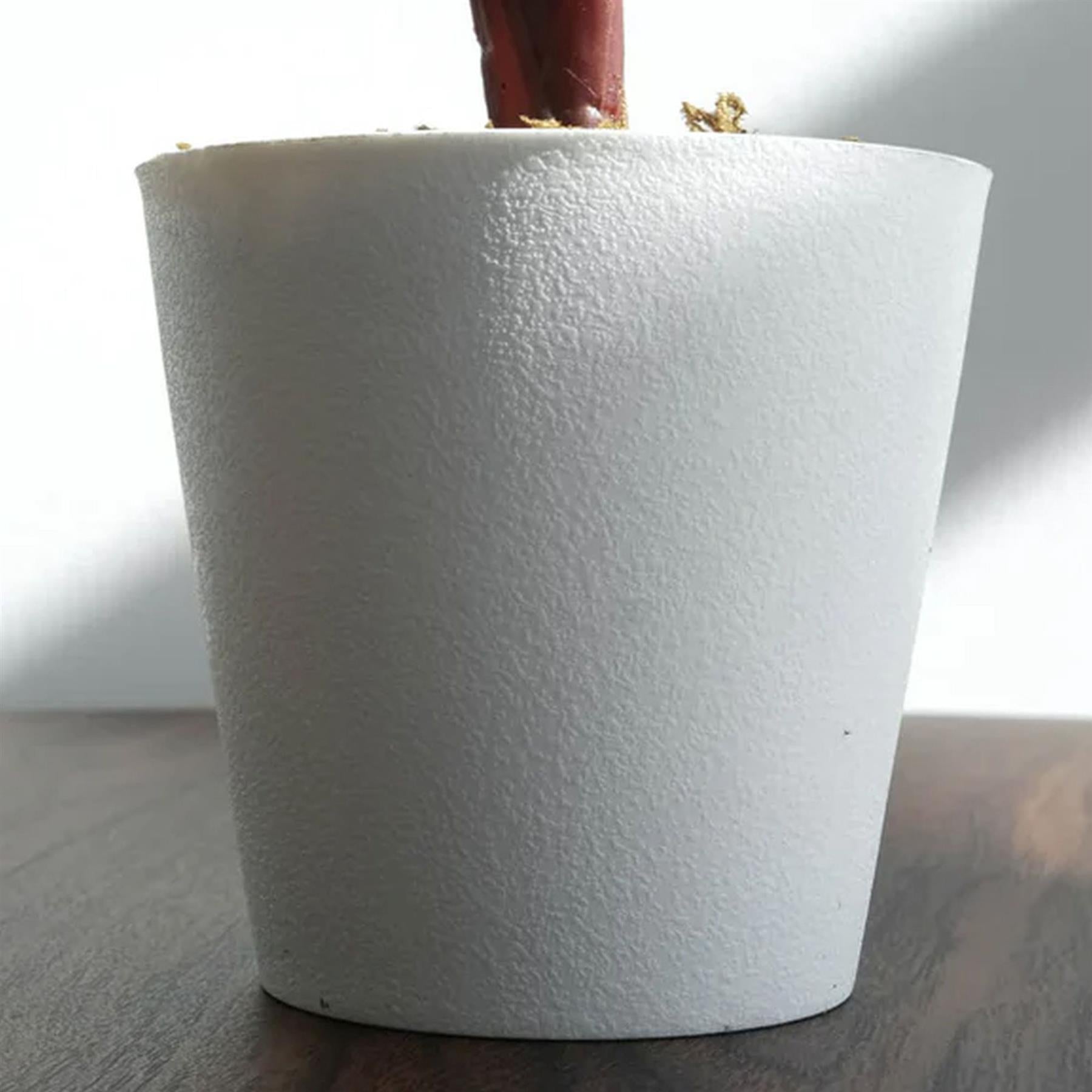 38cm Potted Artificial Calathea Veitchiane