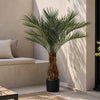 Cycas Palm Tree UV Resistant Outdoor 120cm Botanik
