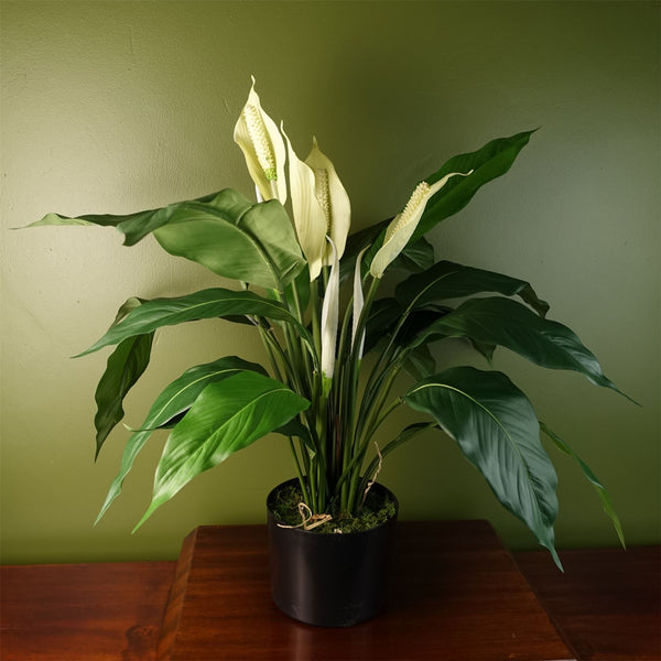 Artificial Plant Large Lily Peace White Spathiphyllum Botanik