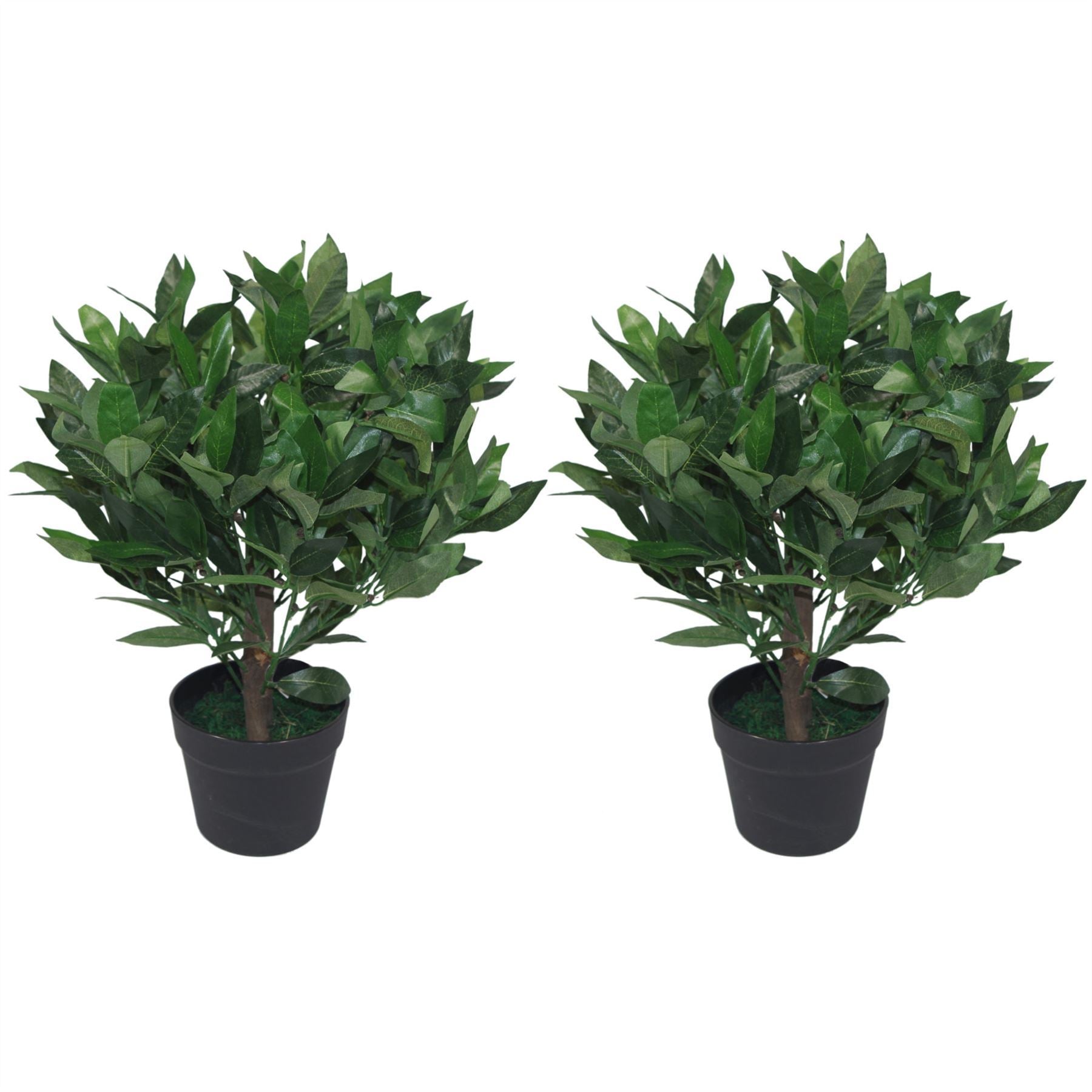 Pair of 50cm Dwarf Artificial Bay Trees Laurel Topiary Bushes - Premium Quality