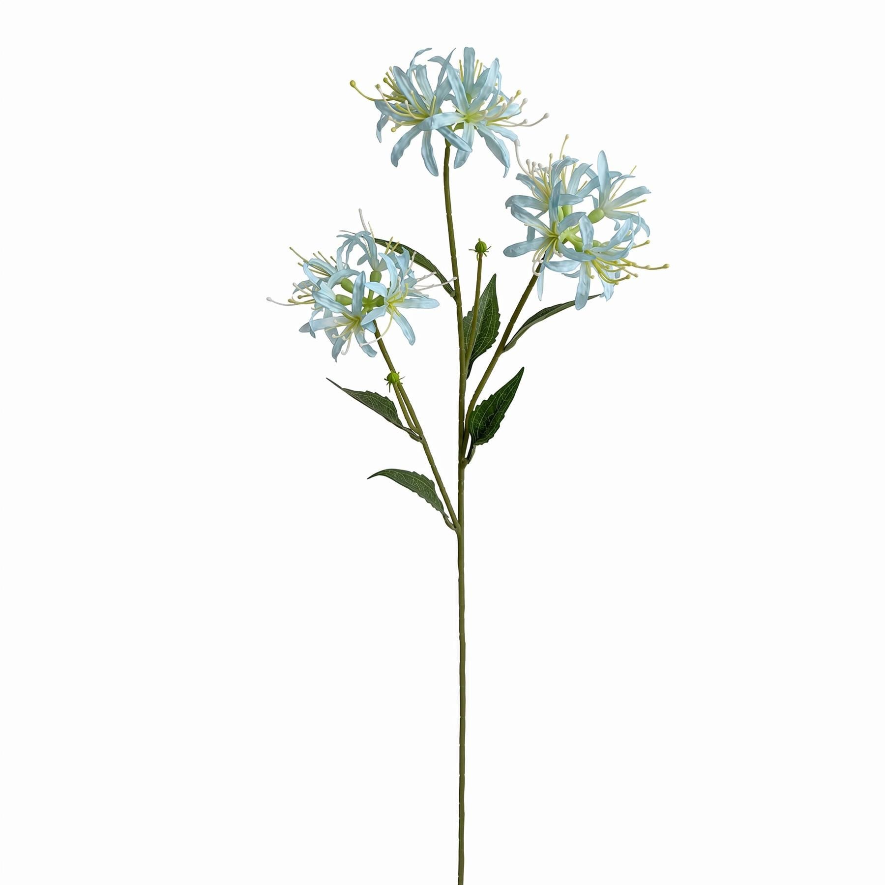 Pack of 6 x 72cm Artificial Light Blue Spider Lily Stems
