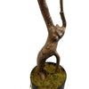 110cm Artificial Toona Sinensis Tree Evergreen - Premium Quality