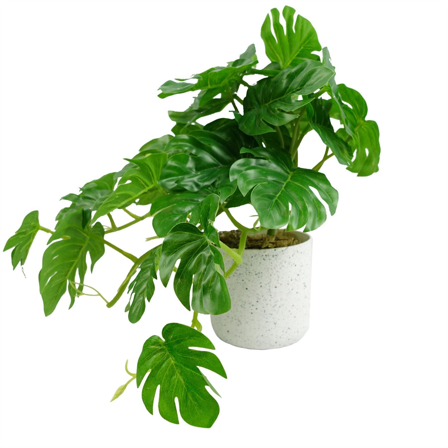 30cm Artificial Green Potted Monstera Trailing Plant - Premium Quality