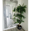 180cm Artificial Twisted Trunk Fruticosa Ficus Tree Triple Ball Topiary 1984 Leaves Copper Metal Planter - Premium Quality
