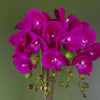 Artificial Orchid Large Dark Pink Silver 52cm Botanik