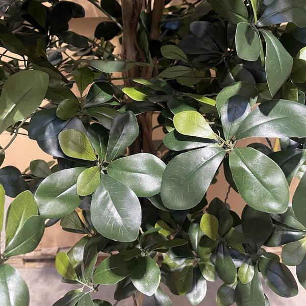 180cm Fire Retardant Black Olive Tree with 2925 Leaves and Natural Trunk