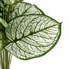 60cm Artificial Caladium Style Stem Plant Variegated Green White Faux Foliage Arrangement
