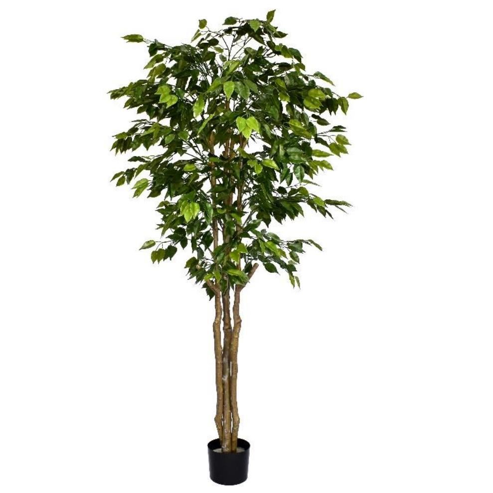 180cm Fire Retardant Deluxe Retusa Ficus Tree With 1134 Leaves - Premium Quality