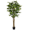 180cm Fire Retardant Deluxe Retusa Ficus Tree With 1134 Leaves - Premium Quality