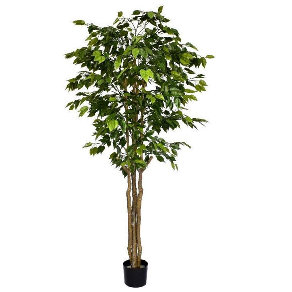 180cm Fire Retardant Deluxe Retusa Ficus Tree With 1134 Leaves - Premium Quality