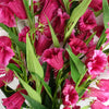 Pack of 6 x 100cm Trumpet Artificial Flower Stem Fuchsia Pink - Premium Quality