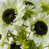 Pack of 6 x Artificial Flowers White Sunflower - 3 heads 88cm