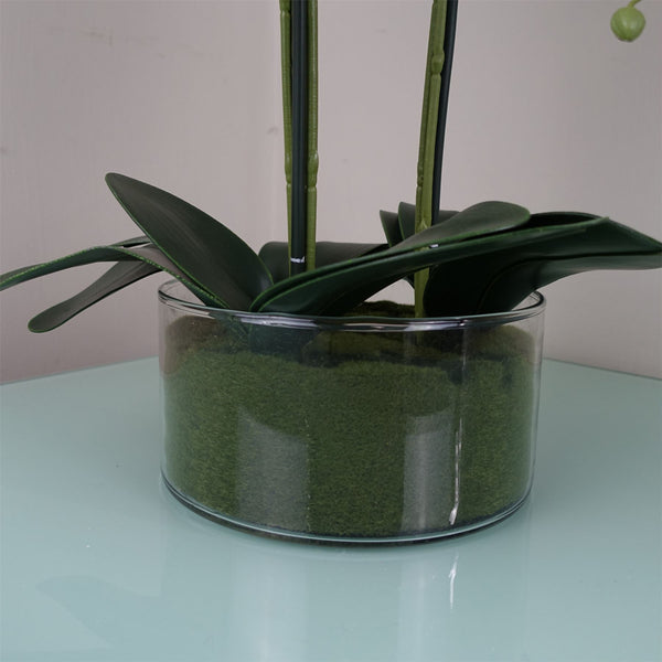 Artificial Orchid with Glass Planter White Botanik