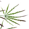 100cm Artificial Hanging Acer Spider Plant