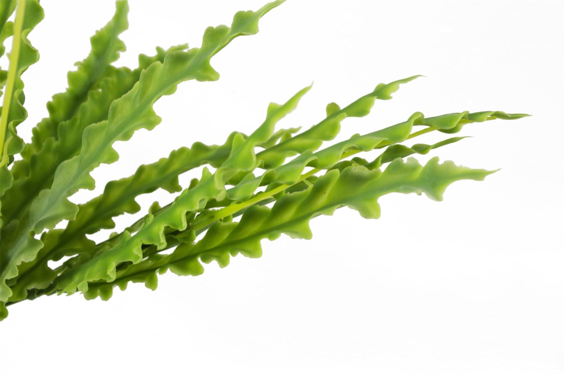 12 x 40cm Artificial Crocodile Fern Plant - Premium Quality