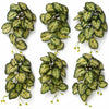 Pack of 6 x 25cm Artificial Trailing Variegated Caladium Vine Plant Dark Green - Premium Quality
