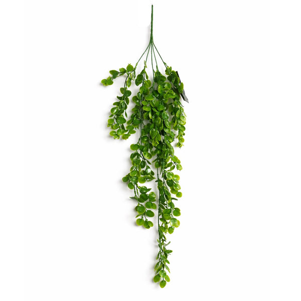 Pack of 6 x 75cm Artificial Trailing Round Leaf Hanging Foliage Plant - Classic Gloss Green