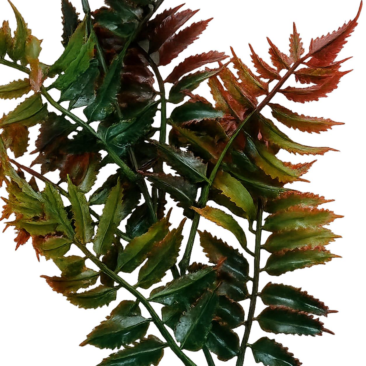 50cm Artificial Fern Spray Stem - Autumn Orange