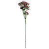 Pack of 6 x 55cm Gypsophila Pink Stem - Premium Quality
