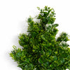 75cm Artificial Boxwood & Budding Foliage Bush Stem