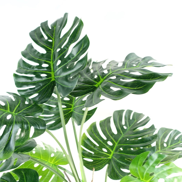 150cm (5ft) Luxury Monstera Plant Black Pot Silver Metal Planter - Premium Quality