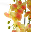 Large Yellow Peach Orchid Plant - Artifcial - 41 REAL TOUCH flowers