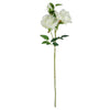 60cm White Rose Purple Starflower Display Glass Vase - Premium Quality