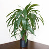 90cm Variegated Artificial Calathea Plant with pot