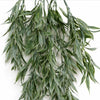 Pack of 6 x 80cm Italian Ruscus Hanging Plant with Realistic Foliage - Sage Green - Premium Quality