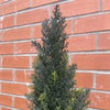 120cm Artificial Natural Look Cedar Cypress Tree - Premium Quality