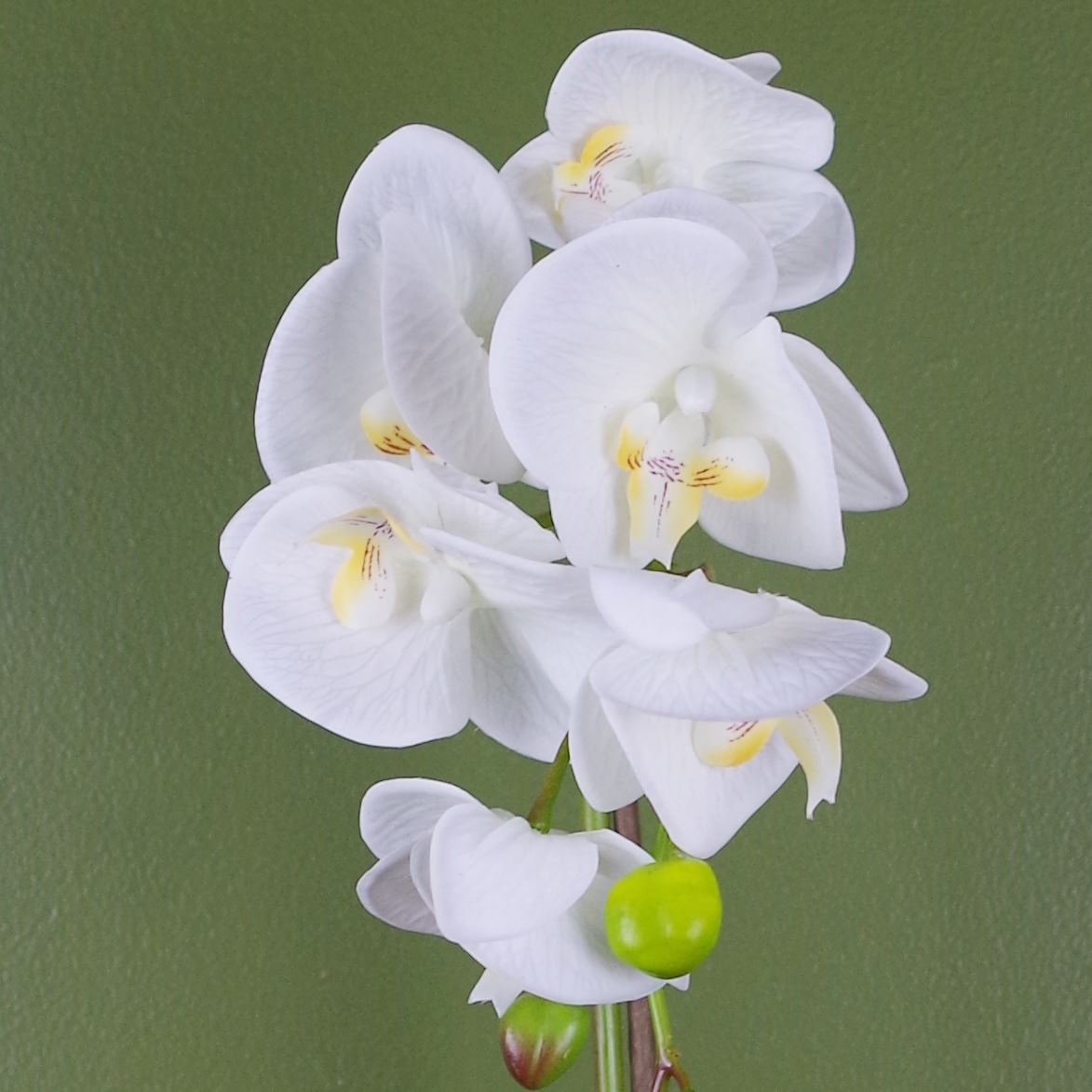 Artificial Orchid Dark White Silver 46cm Botanik