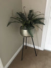 Artificial Foliage Plant Pot Boston Bushy 60cm Plants