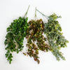 Pack of 6 x 75cm Artificial Trailing Round Botanik Hanging Foliage Plant - Autumn Green & Bronze - Premium Quality