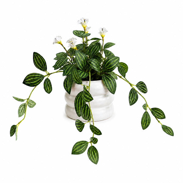 45cm Artificial Trailing Striped Leaf Plant with White Flowers in White Pot