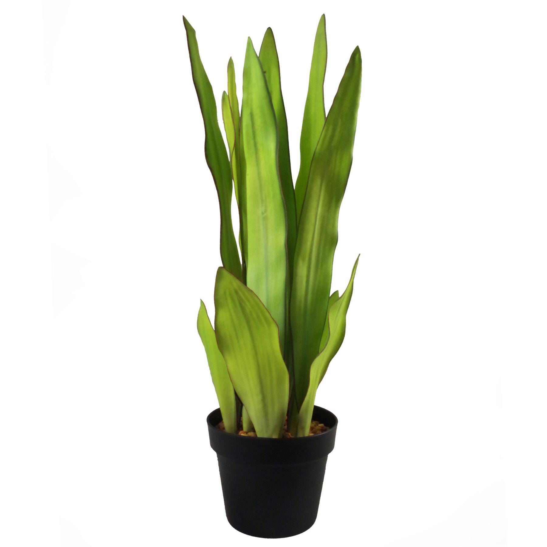 Tropical Artificial Plants 70cm Sansevieria Moonshine 70cm Plants